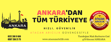 Atacan Arıcılık