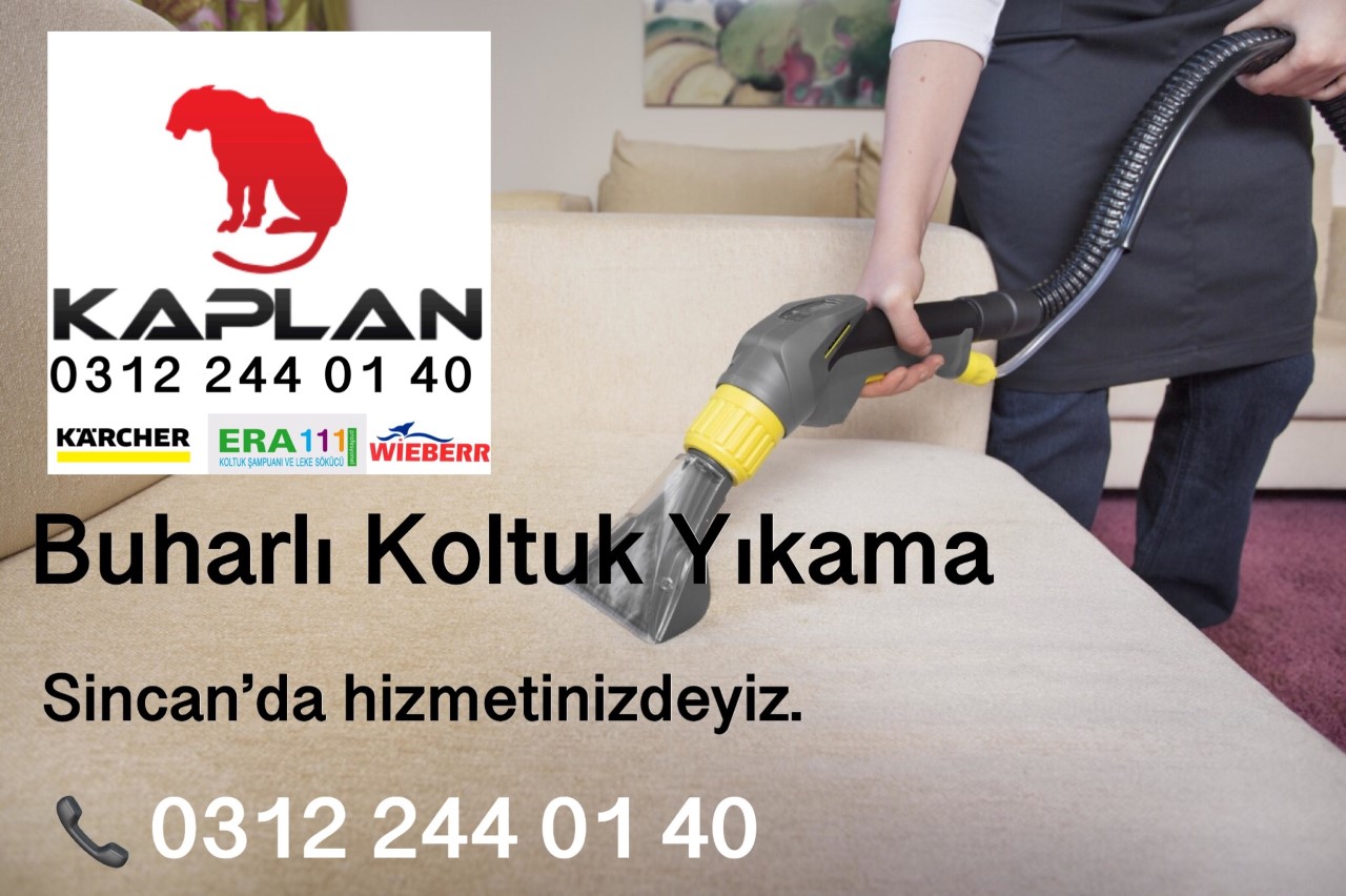 Kaplan Halı Yıkama